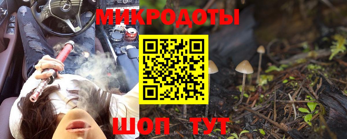 Лесозаводск  Галлюциногенные грибы MAGIC MUSHROOMS  Вход с VPN 