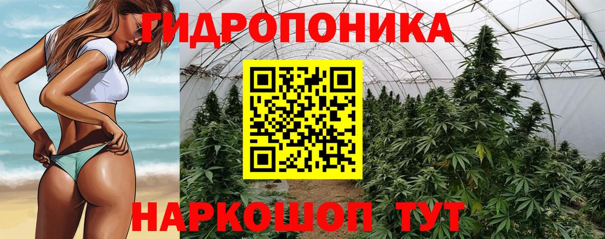 Конопля White Widow Лесозаводск